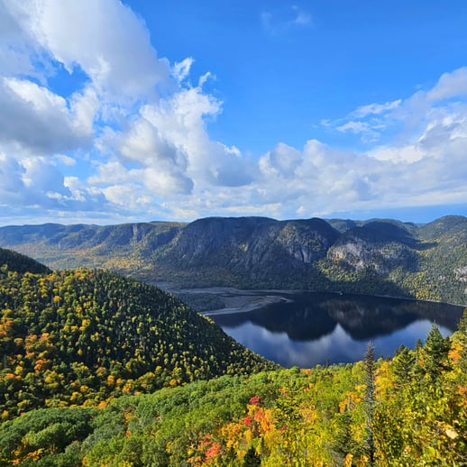 Nos dispos au Québec